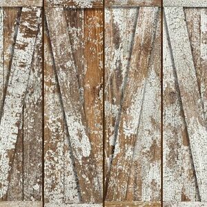 Neglected Rustic Barn Door Photography Backdrop 8x8